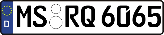 MS-RQ6065