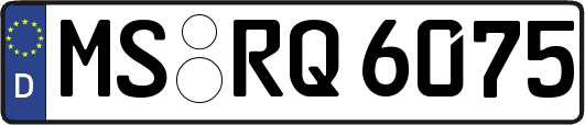 MS-RQ6075