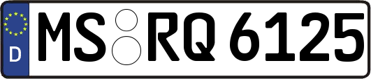 MS-RQ6125