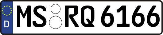 MS-RQ6166