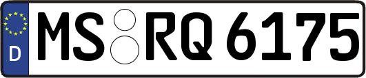 MS-RQ6175