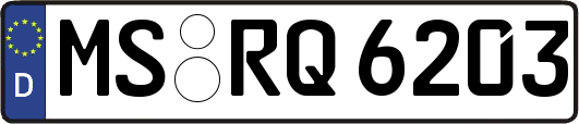 MS-RQ6203