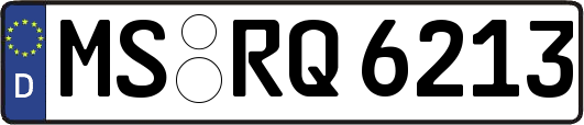 MS-RQ6213