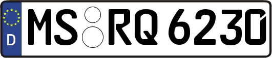MS-RQ6230