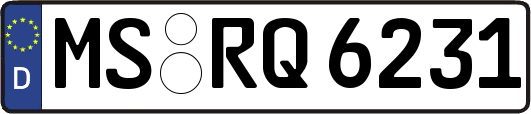 MS-RQ6231
