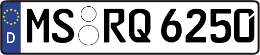 MS-RQ6250
