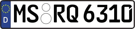 MS-RQ6310