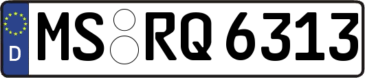 MS-RQ6313