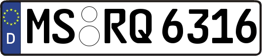 MS-RQ6316