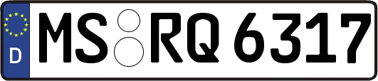MS-RQ6317
