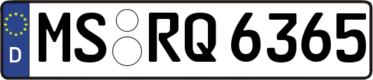 MS-RQ6365