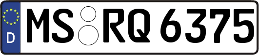 MS-RQ6375
