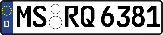 MS-RQ6381