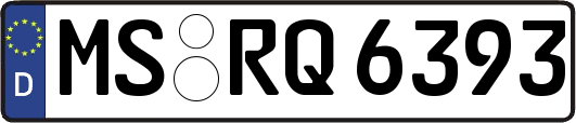 MS-RQ6393