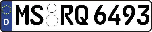 MS-RQ6493