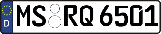 MS-RQ6501