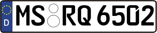 MS-RQ6502