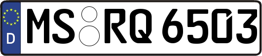 MS-RQ6503
