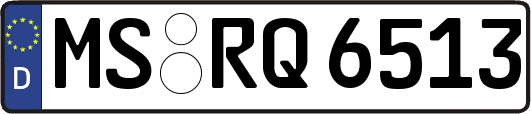 MS-RQ6513