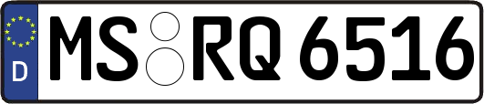 MS-RQ6516