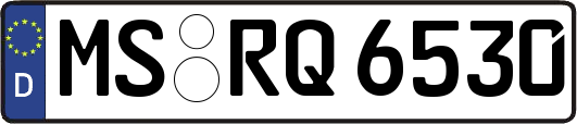 MS-RQ6530