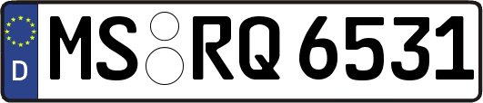 MS-RQ6531