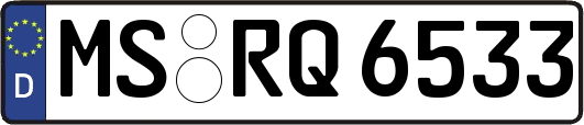 MS-RQ6533