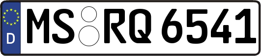 MS-RQ6541