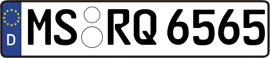 MS-RQ6565