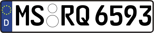 MS-RQ6593