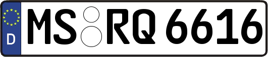 MS-RQ6616