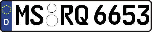 MS-RQ6653