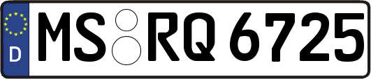 MS-RQ6725