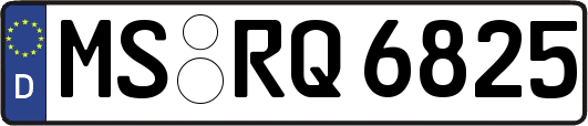 MS-RQ6825