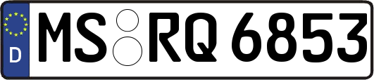MS-RQ6853