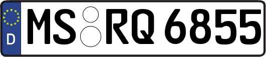 MS-RQ6855