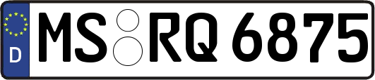 MS-RQ6875