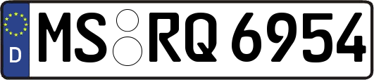 MS-RQ6954