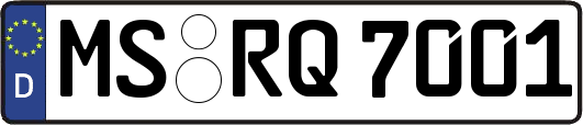 MS-RQ7001