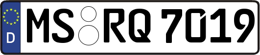 MS-RQ7019