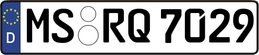 MS-RQ7029