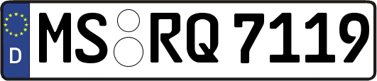 MS-RQ7119