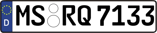 MS-RQ7133