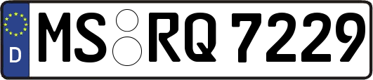 MS-RQ7229