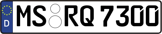 MS-RQ7300