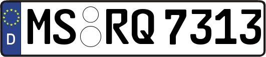 MS-RQ7313