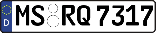 MS-RQ7317