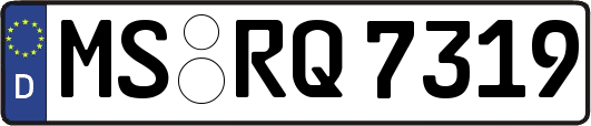 MS-RQ7319