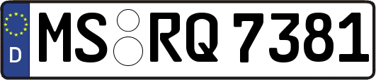 MS-RQ7381