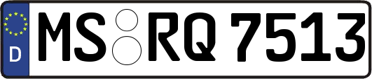 MS-RQ7513
